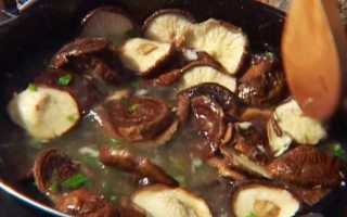 Сколько варить сухие грибы по времени после замачивания