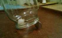 Лучшие самодельные мышеловки и как они применяются