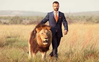 Значение имени Виктор: происхождение, характер и судьба