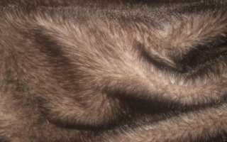 Как быстро и качественно почистить мутоновую шубу в домашних условиях?