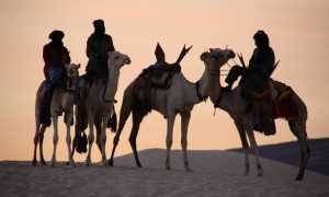 Зелимхан: значение имени, происхождение, характер и судьба