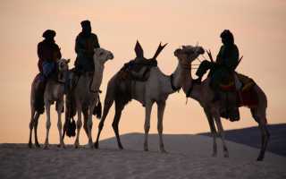 Зелимхан: значение имени, происхождение, характер и судьба