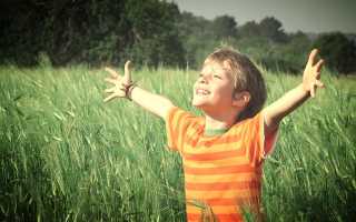 Значение имени Денис для мальчика: происхождение, характер и судьба