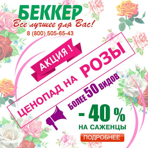 Беккер RU