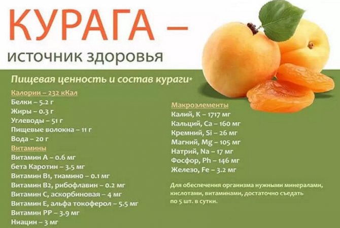 Пищевая ценность кураги