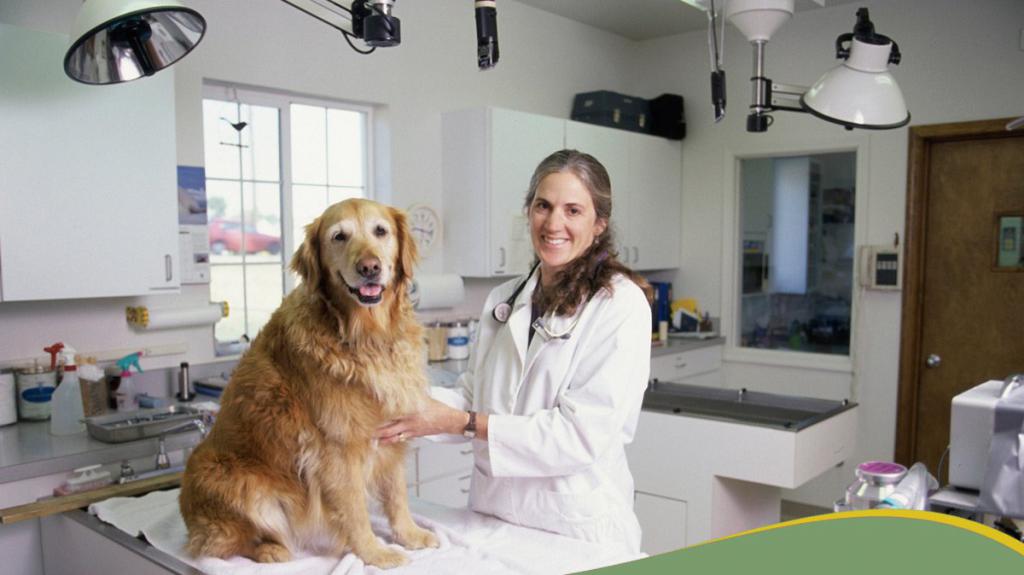 профессия для ари