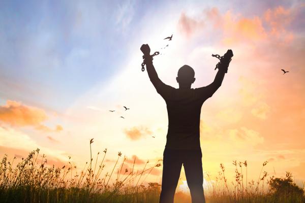 freedom - свобода