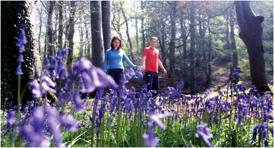 Прогулка влюбленных