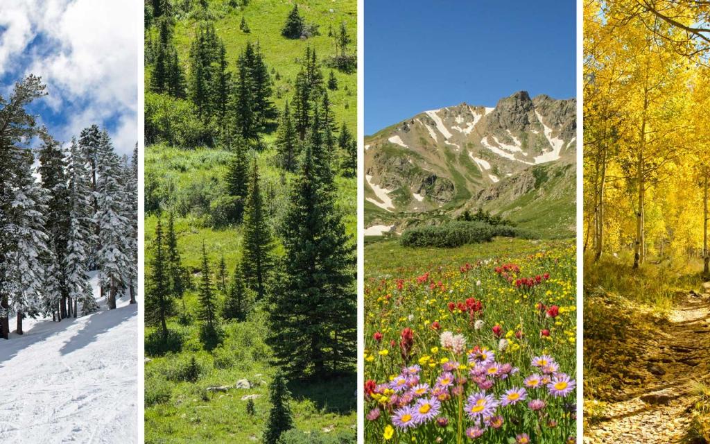 Времена года