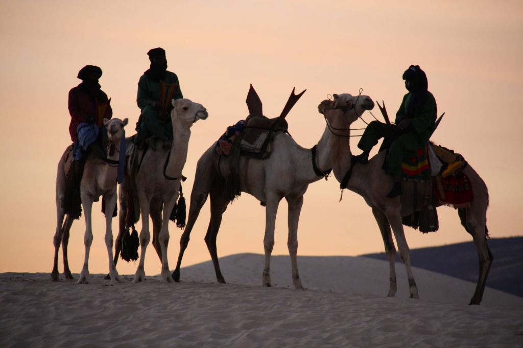 Арабские кочевники